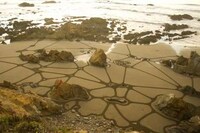 Giant Beach Canvases Image 8