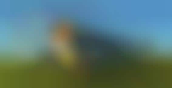Invisible Air Cannons