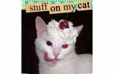 15 Catty Creations