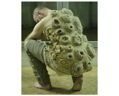 15 Crustacean Creations
