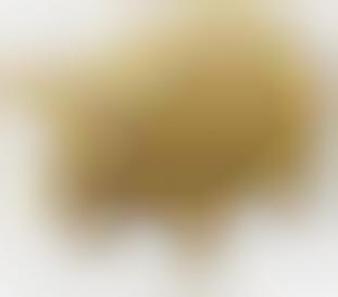Golden Pig Speakers