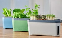 Four-in-One Herb Planters