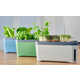 Four-in-One Herb Planters Image 1