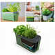 Four-in-One Herb Planters Image 2