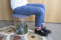 Terrarium Stool Seating Solutions Image 1