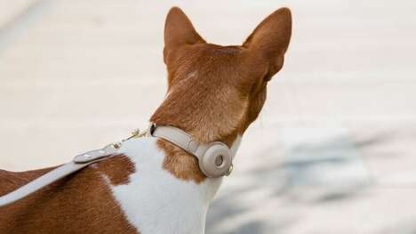 Tracker-Friendly Dog Collars