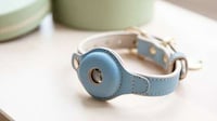 Tracker-Friendly Dog Collars Image 5