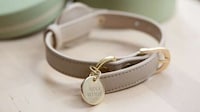 Tracker-Friendly Dog Collars Image 6