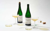 Experimental Artisan Beers