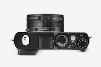 Street-Informed Camouflage Cameras Image 2
