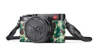 Street-Informed Camouflage Cameras Image 3