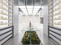 Futuristic Retail Kinetic Displays