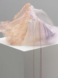 Sculptural Knitted Objects Image 2