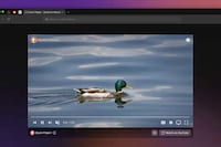 Incognito Web Browsers Image 1