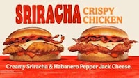 Piquant Crunchy Chicken Sandwiches