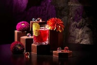 Toronto Day of the Dead Celebrations Image 2