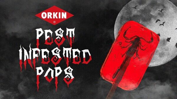 Edible Insect Lollipops: Orkin's Pest-Infested Pops Bring Awareness to ...