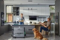 Plug-and-Play Energy Storage Systems Image 2