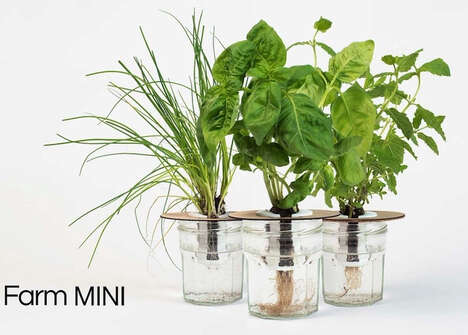 Container-Based Indoor Gardens