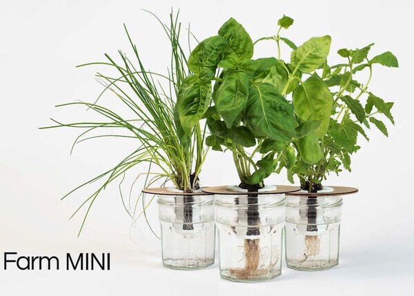 Container-Based Indoor Gardens