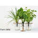 Container-Based Indoor Gardens Image 1