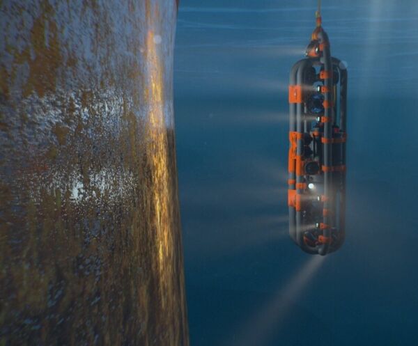 Self-Operating Underwater Robots