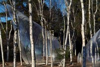 Transparent Teardrop-Shaped Tents Image 2