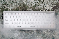 Transparent Mechanical Keyboards Image 1