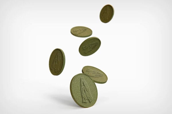 Eco-Friendly Wishing Well Coins