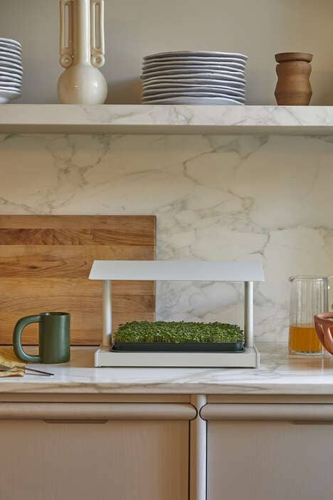 Indoor Gardening Planters