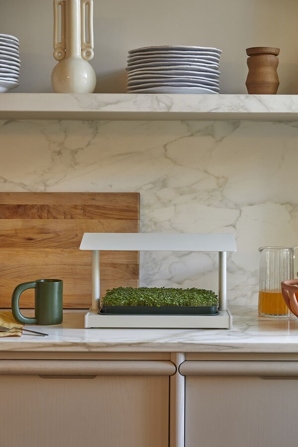 Indoor Gardening Planters
