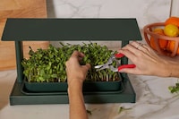 Indoor Gardening Planters Image 3