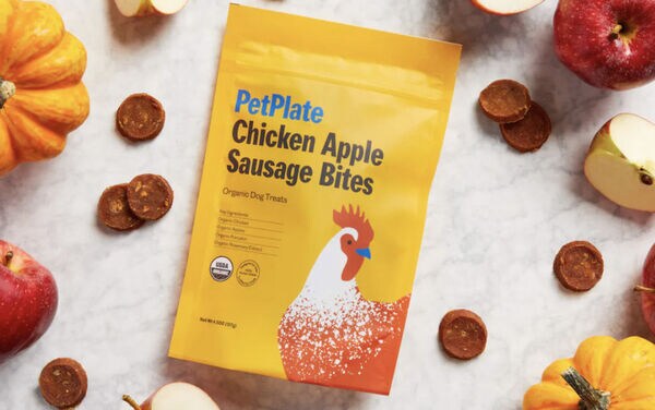 Organic Dog Treats