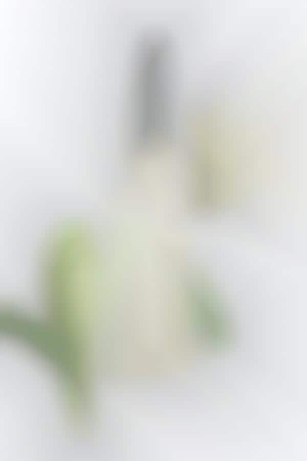 Anniversary-Celebrating Perfume Launches