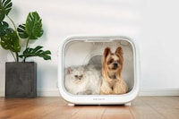 Automatic Pet-Drying Machines Image 1
