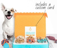 Holiday-Ready Dog Treat Boxes