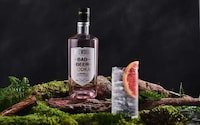 Upcycled Beer-Made Vodkas