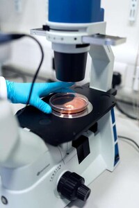 Lab-Grown Pet Food Meats Image 1