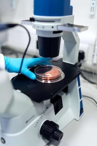 Lab-Grown Pet Food Meats