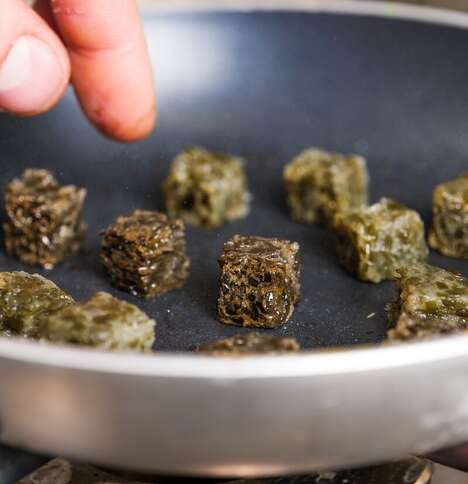 Frozen Seaweed Cubes