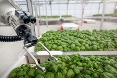 Smart Greenhouse Technologies Article Thubnail