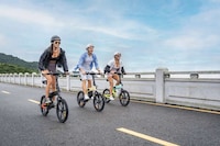 Comfortable Long-Range Electric Bikes Image 1