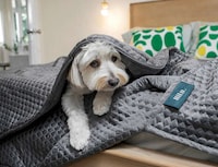 Temperature-Regulating Graphene Blankets Image 5