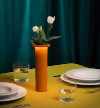 Rechargeable Illuminating Vases