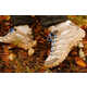 Collaboration Aluminum-Shaded Boots Image 1