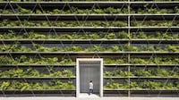 Plant-Covered Facade Factories Image 1
