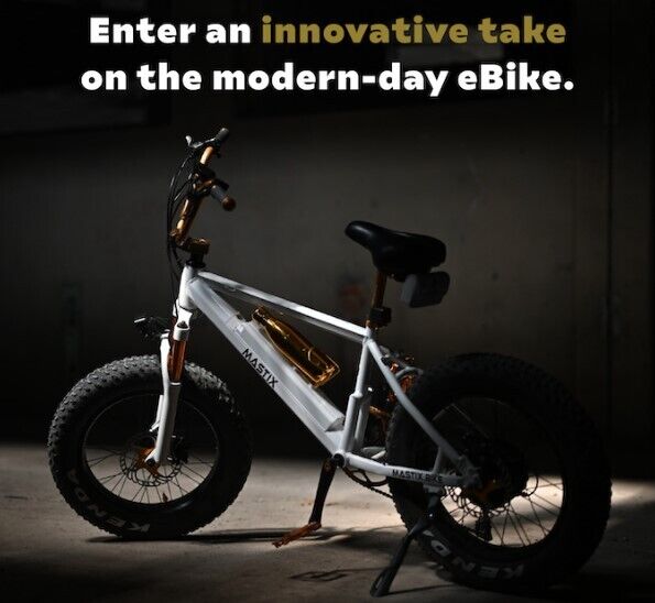 Custom-Made Stylized E-Bikes