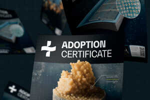 Coral Reef Adoption Gifts Article Thubnail