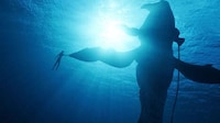 Outer-Worldly Alien Film Trailers Image 1