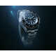 All-Titanium Diver Timepieces Image 1